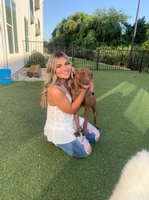 Saphiana Zamora's Jobs In Sports Profile Picture